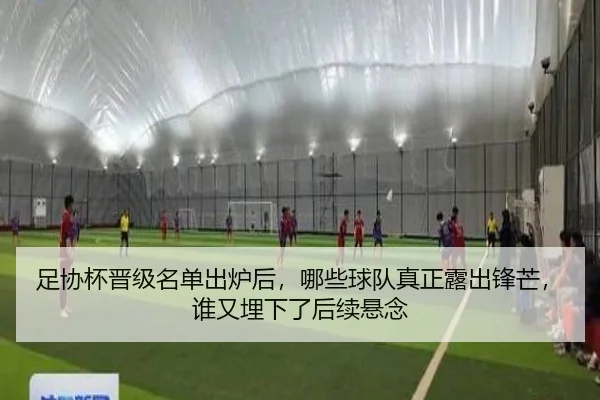 足协杯晋级名单出炉后，哪些球队真正露出锋芒，谁又埋下了后续悬念（HTH）